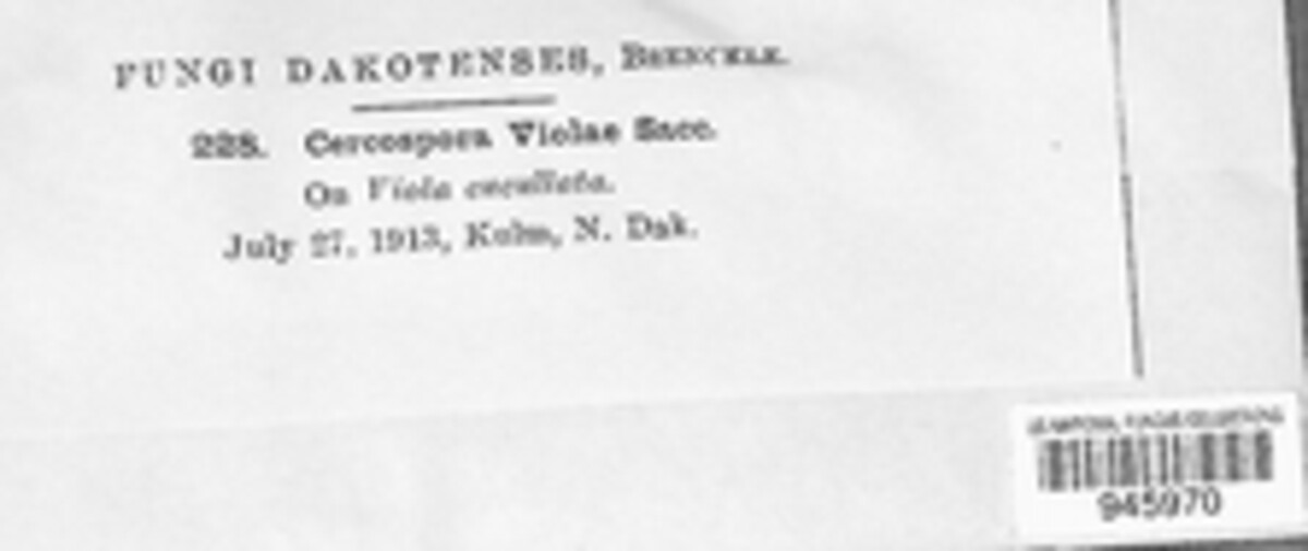 Cercospora violae image